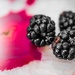 Blackberries by cristinaledesma33
