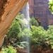 Waterfall in Zion by harbie