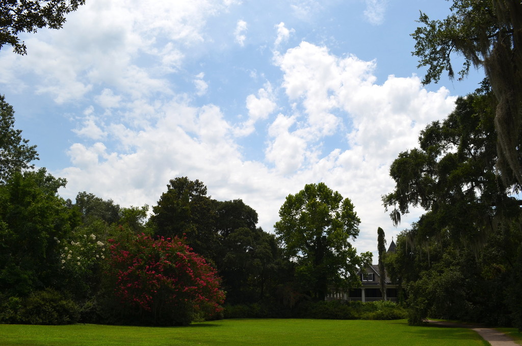 Magnolia Gardens, Charleston, SC by congaree