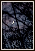 9th Dec 2010 - Crescent Moon 