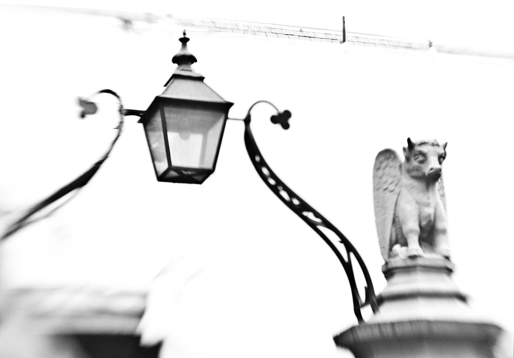 the lamp and the gargoyle by annied