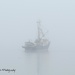 Foggy Morning by kathyo