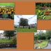 A collage of Parker St. Community Garden. by grace55