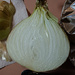 Walla Walla Sweet onion by byrdlip