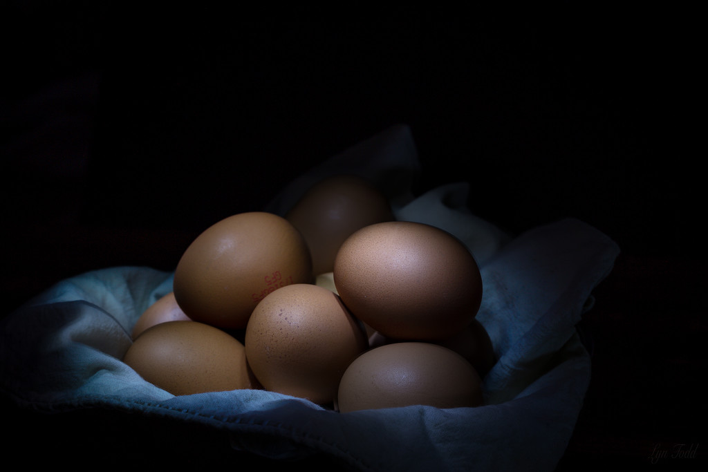 eggs after dark by ltodd