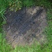 Manhole In The Grass by davemockford