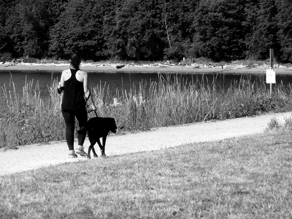 Lady Walking Her Dog by seattlite