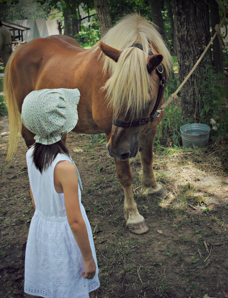 Holly Hobbie and the New Pony by alophoto