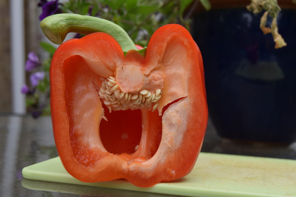 Happy red Pepper by dragey74