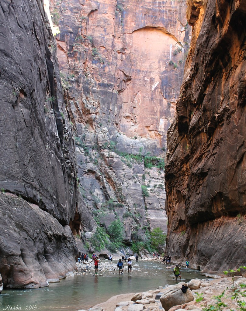 The Narrows in Zion NP by harbie