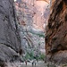 The Narrows in Zion NP by harbie