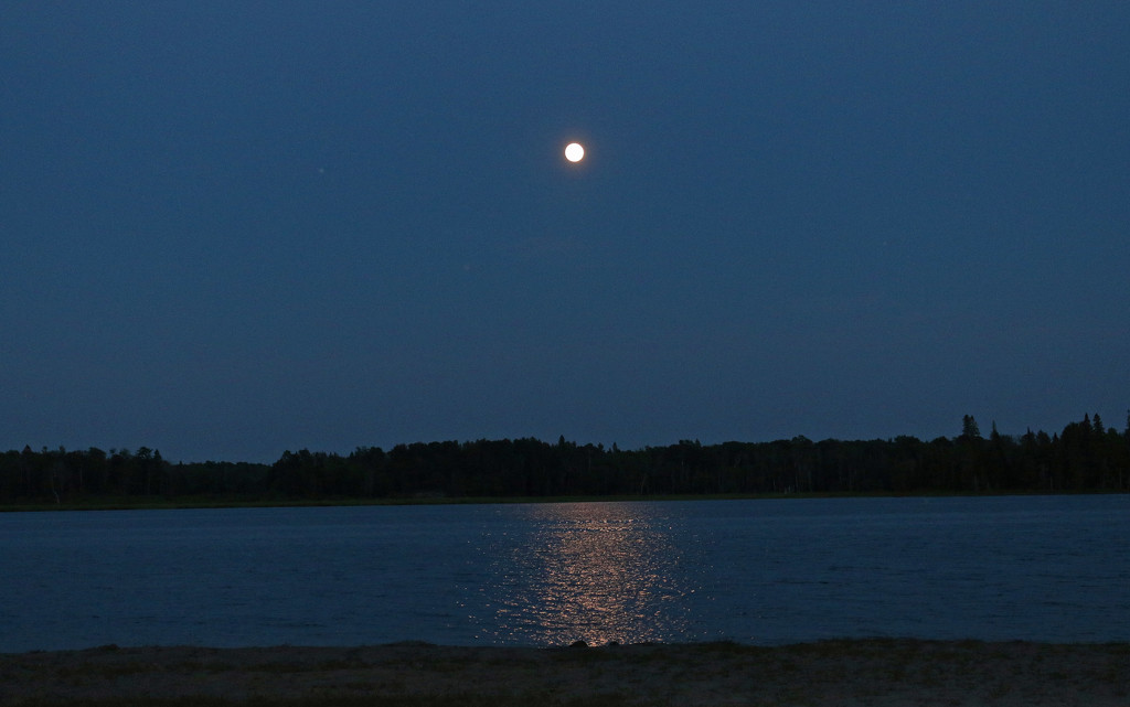 Full moon on the first day of summer.Happens twice in a long lifetime. by hellie