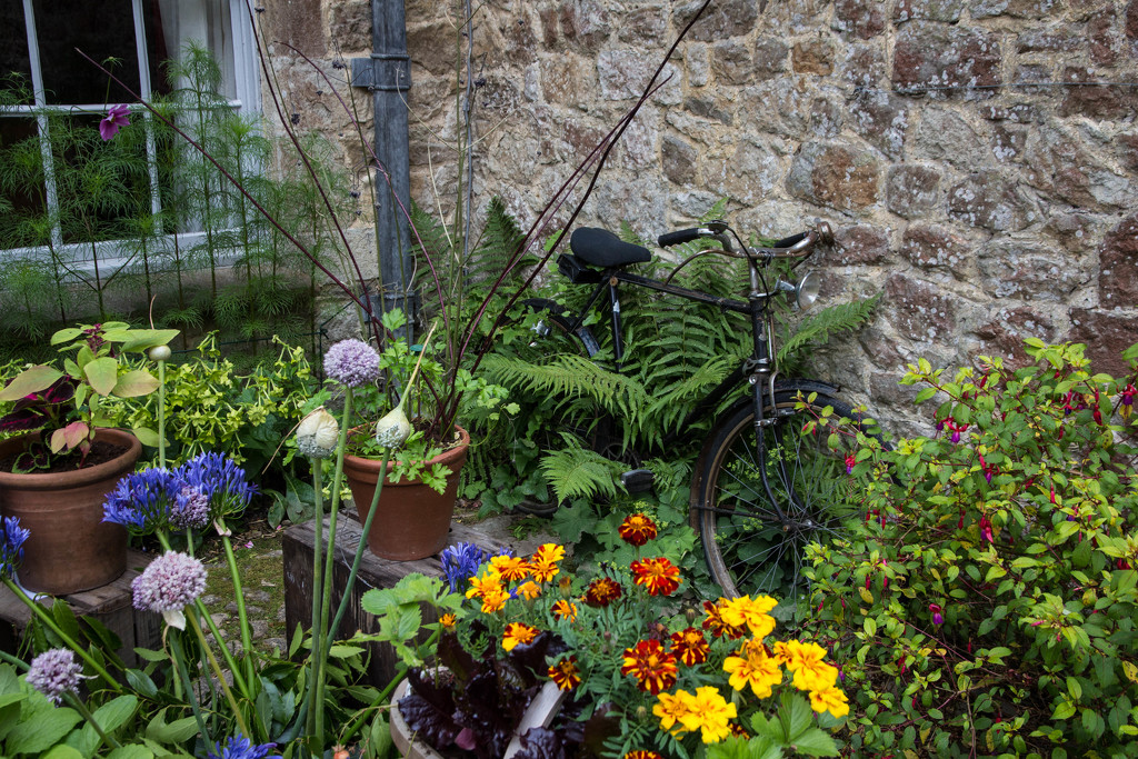Cottage garden & bicycle at Ighton Mote by pusspup
