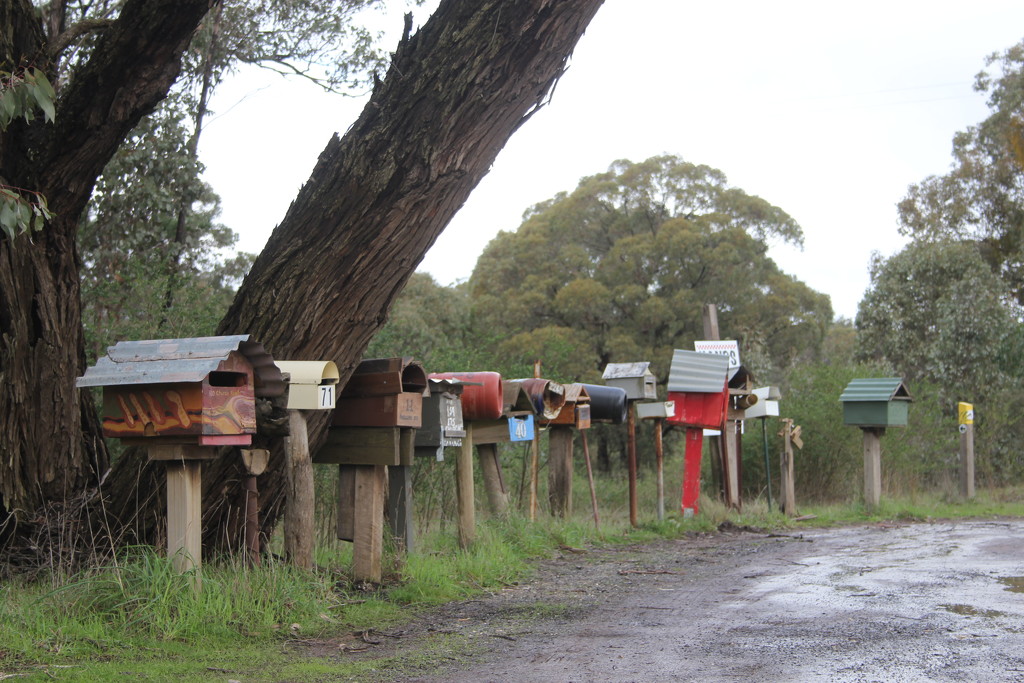 Please Mr Postman, is there a letter for me? by gilbertwood