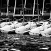 five boats all in a row! by summerfield