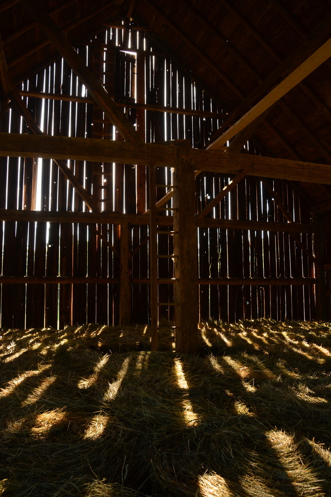  'Cathedral' in the barn by jayberg