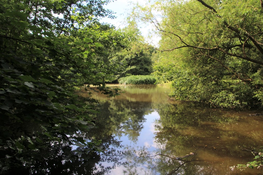 Pond Putney Heath by oldjosh