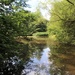Pond Putney Heath by oldjosh