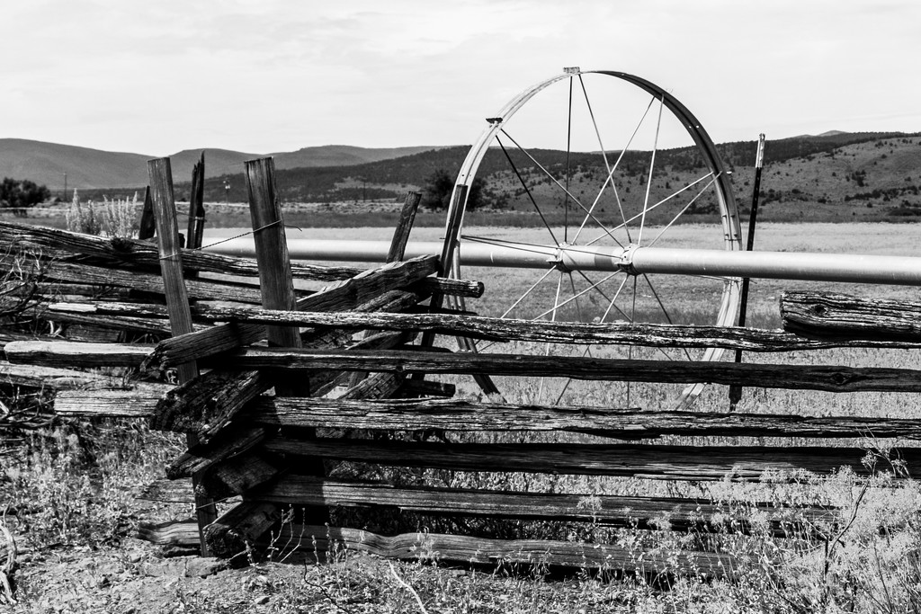 Old Fence in Oregon by clay88