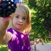 The biggest blackberry she has ever seen by mdoelger