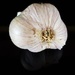 Mundane Challenge - Garlic  by jo38