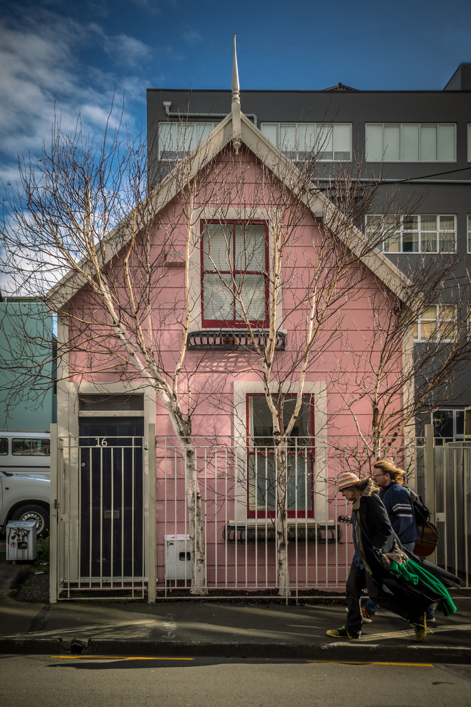 The Pink House by helenw2