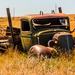 Abandoned Flatbed Truck by clay88