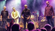17th Jul 2016 - Elvis Costello and the Imposters