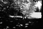 18th Jul 2016 - OCOLOY Day 200: A seat by the lake...