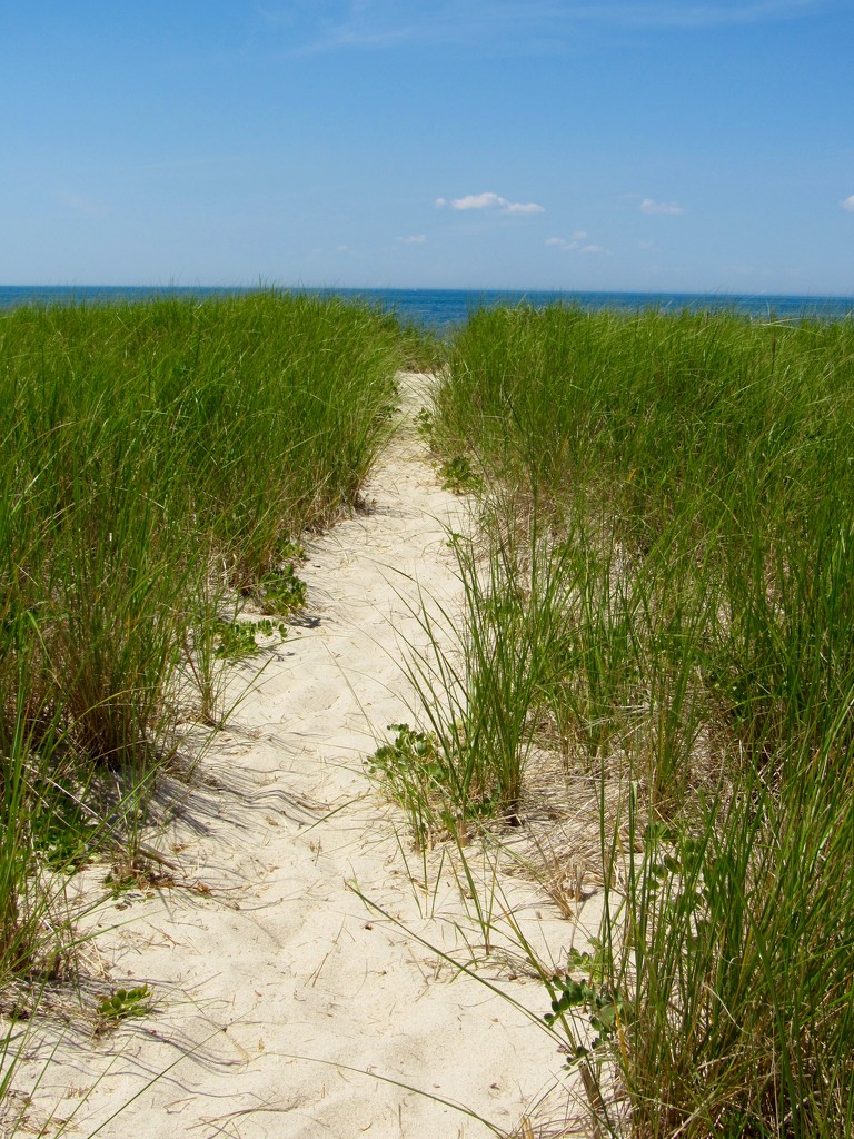 This Way To The Beach by hbdaly