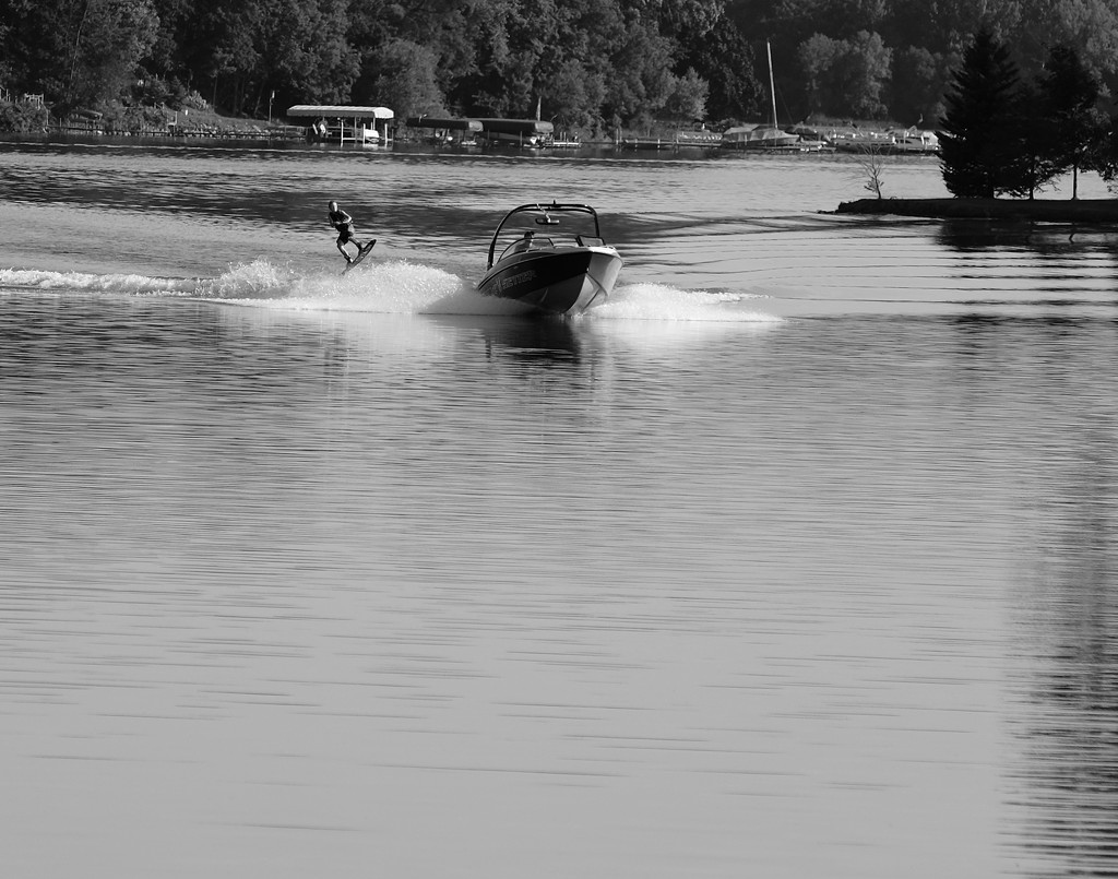 Water Skiing  by tosee