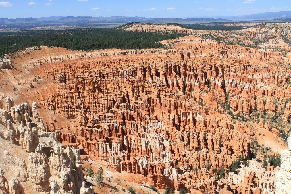 Bryce Canyon National Park by harbie