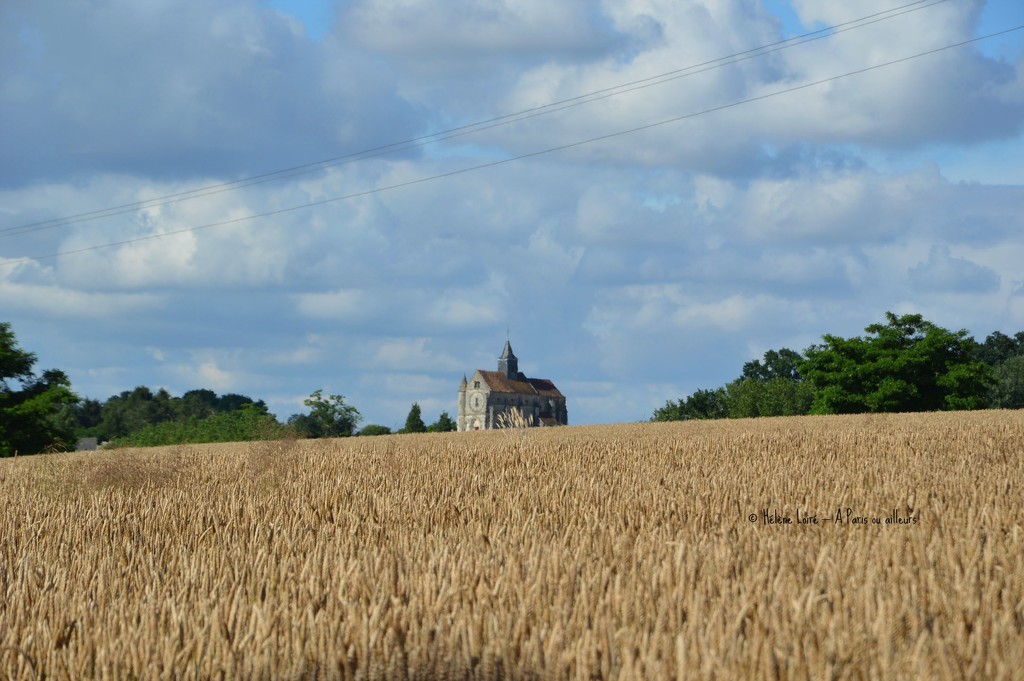 The church that seems to be in the wheet field by parisouailleurs