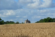 18th Jul 2016 - The church that seems to be in the wheet field