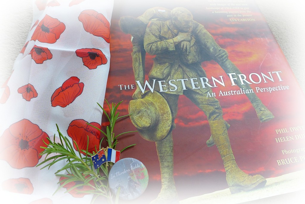 100th Anniversary of the Battle of Fromelles by leggzy