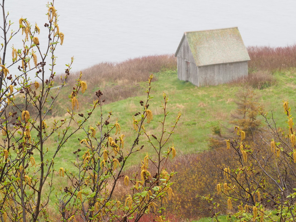 Forillon National Park by selkie