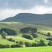 Upper Eden Valley, Cumbria by fishers