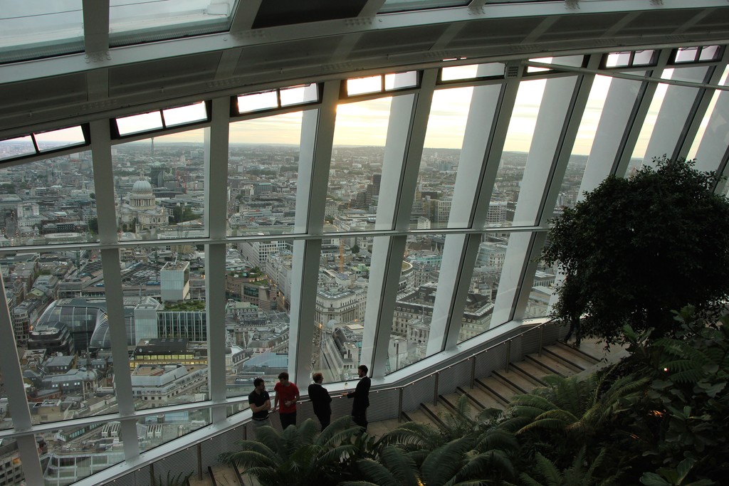 Sky Garden by jamibann