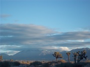 9th Dec 2010 - December Desert
