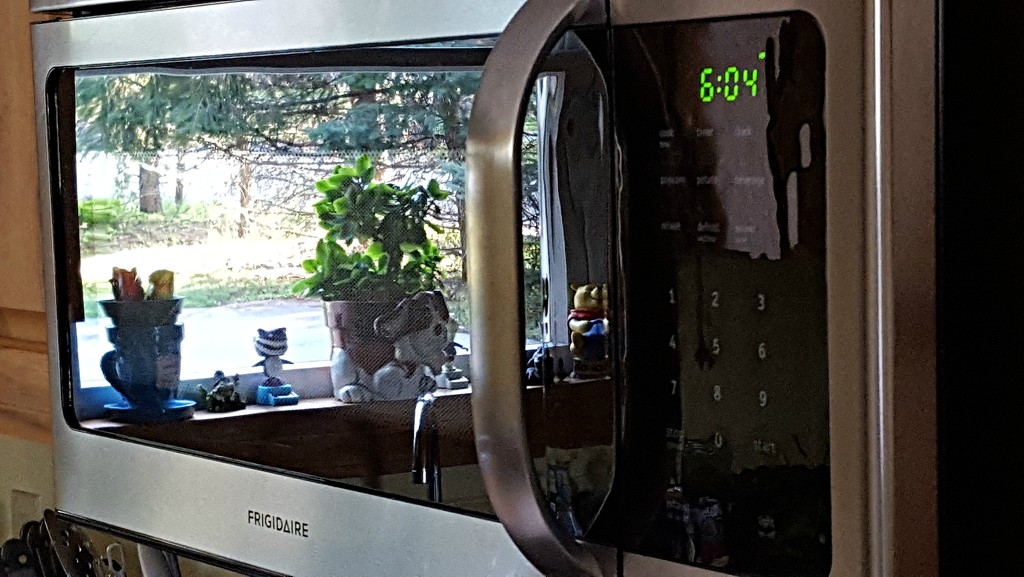 Reflections In My Microwave by jo38