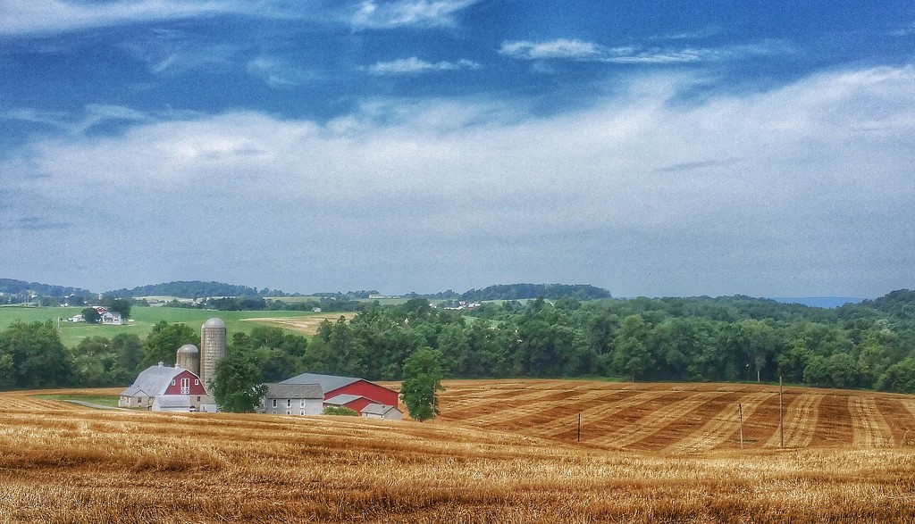Rolling Hills of Maryland by sbolden