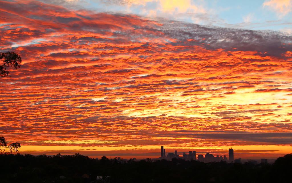 Sunrise Over Brisbane by terryliv