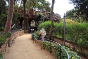 16th Jul 2016 - Gaudi's garden Park Guell 
