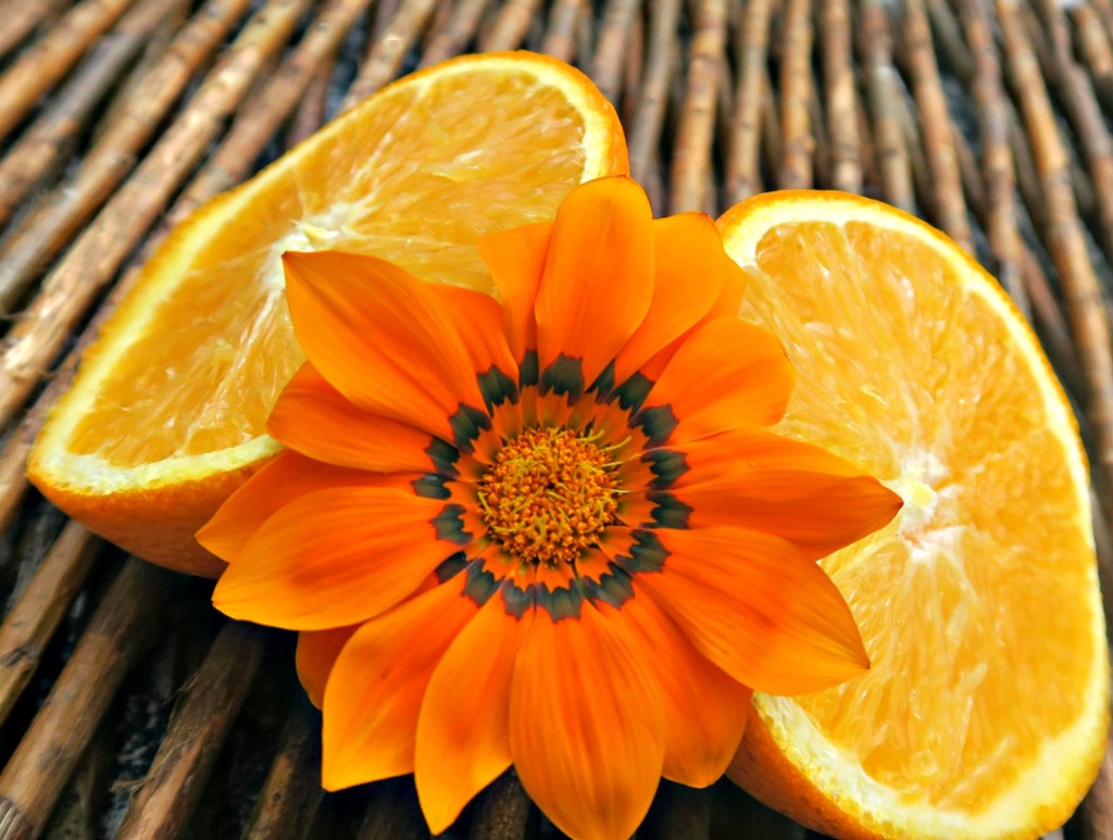 Orange. by wendyfrost