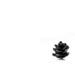 pinecone by northy