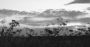 19th Jul 2016 - Sunset in black and white....