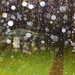 Deluge of rain by leggzy