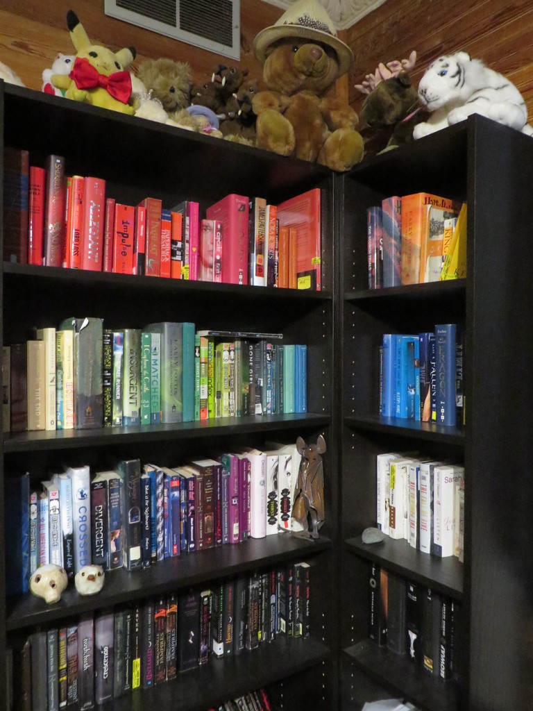 Laughed out loud when I saw my daughter's bookshelf by margonaut