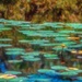 Homage to Monet by taffy