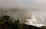 23rd Jul 2016 - Foggy Cape Perpetua Down the Coast 